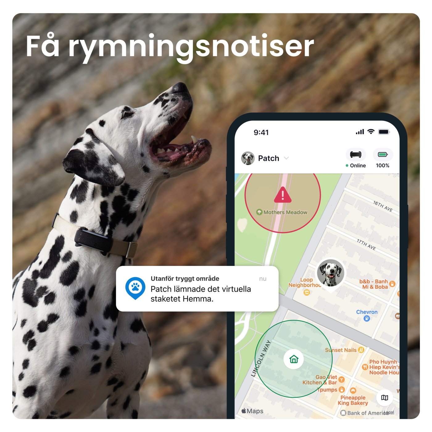 Tractive DOG 6 – Hund-GPS med hälsospårning