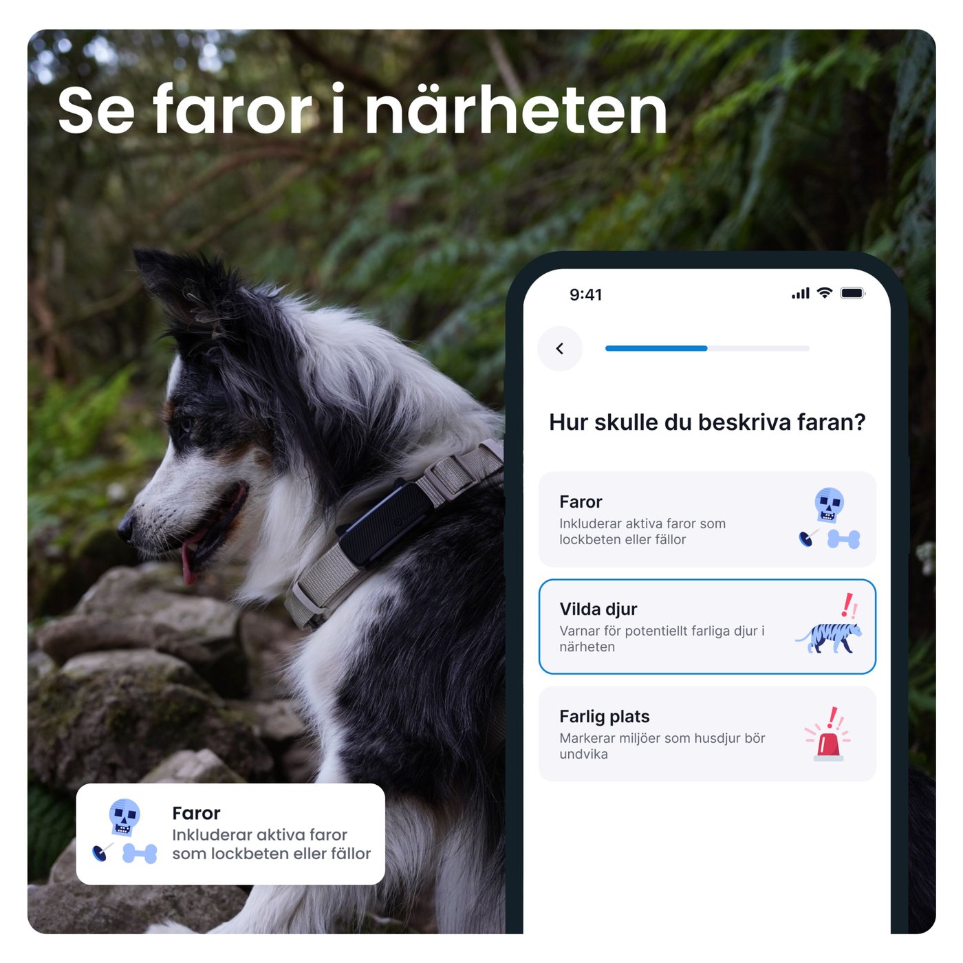 Tractive DOG 6 – Hund-GPS med hälsospårning