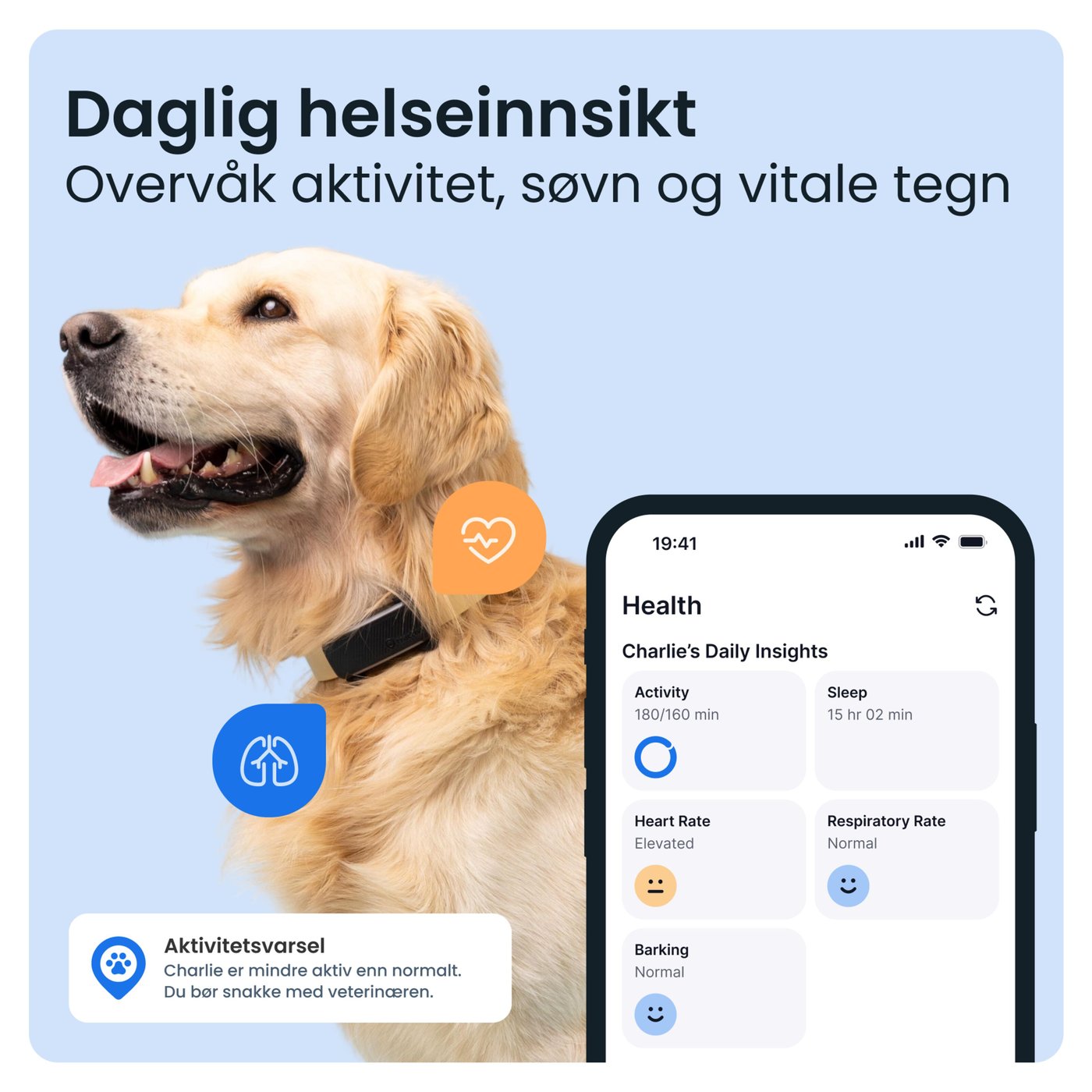 Tractive DOG 6 – GPS-hundehalsbånd og helseovervåking