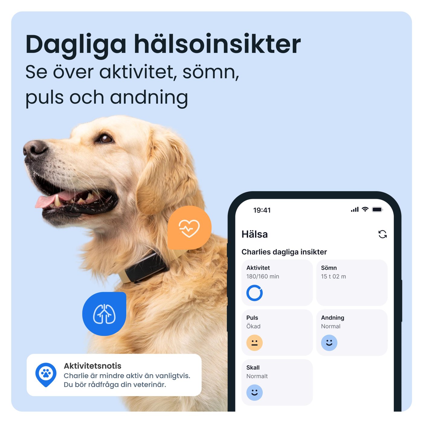 Tractive DOG 6 – Hund-GPS med hälsospårning