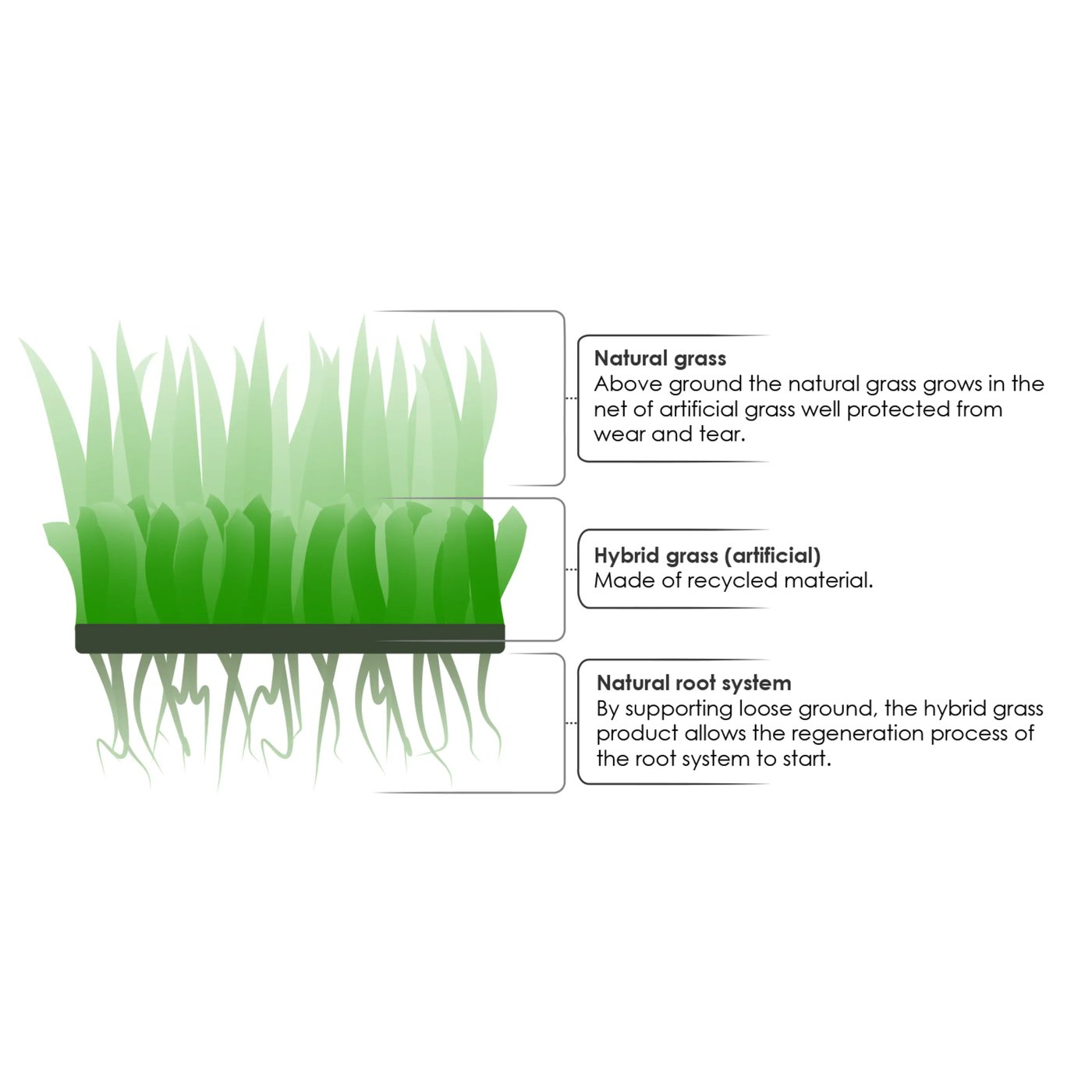 Grimsholm Hybridgräs Premium 1×1 m