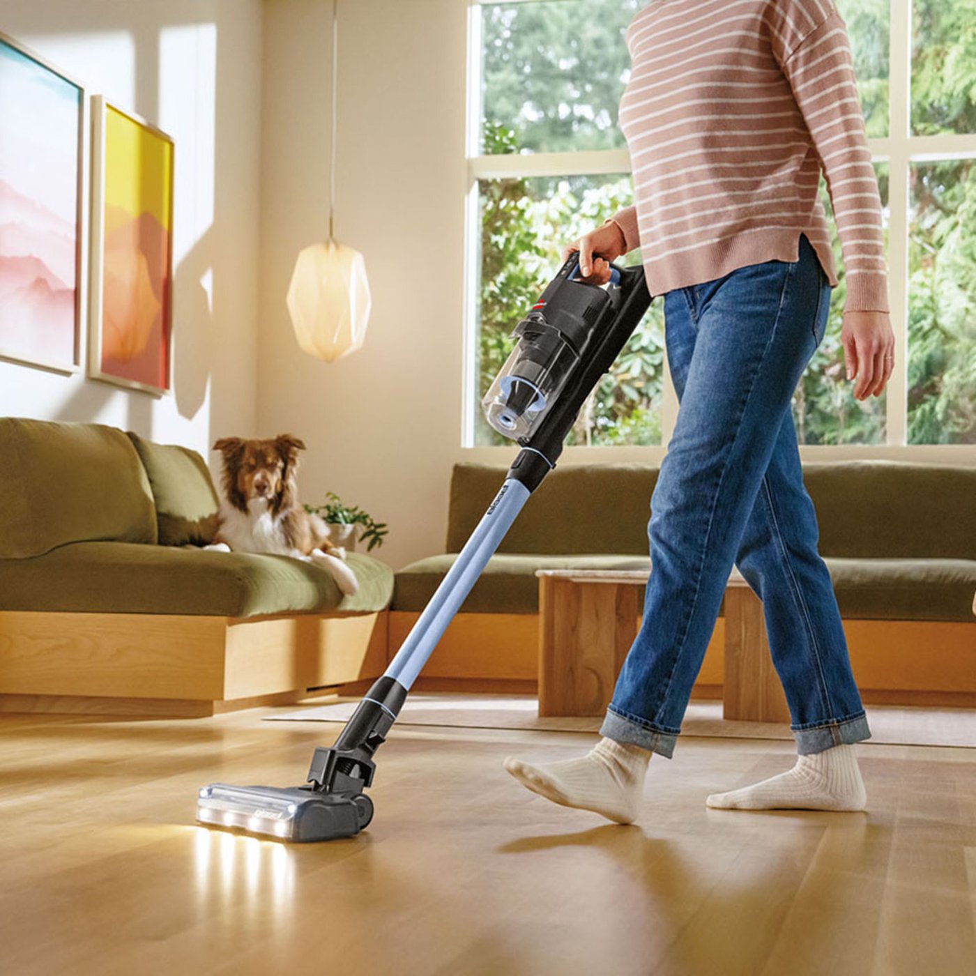 Bissel PowerClean FurFinder Select skaftdammsugare