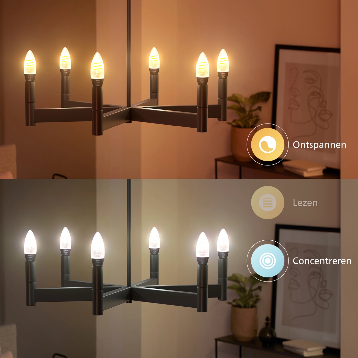 Philips Hue White Ambience Filament Smart LED-pære E14 350 lm