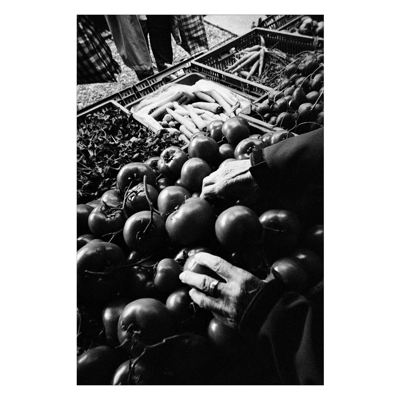 Fujifilm QuickSnap Black and White engangskamera 27 bilder