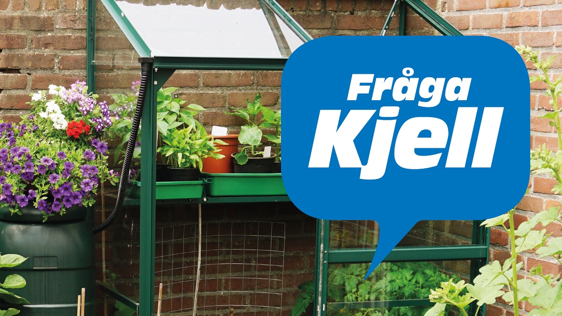 Vattna utan att lyfta ett finger