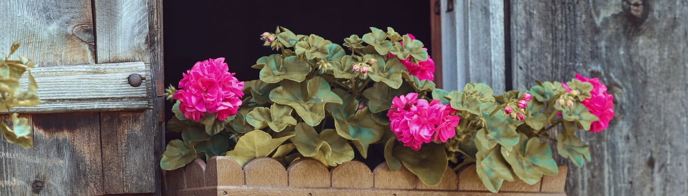 För krukor topp.jpg