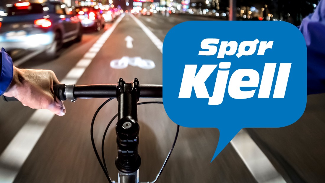 Internasjonale sykkeldagen