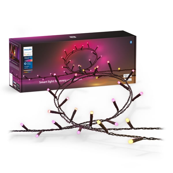 Hue Festavia Ljusslinga 500 LED