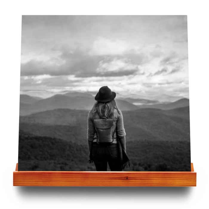 Luxorparts Stilren trähylla för vinyl-skiva