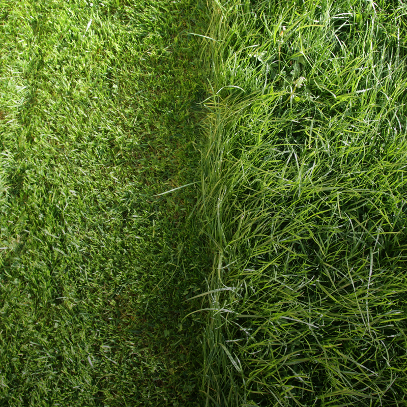 Bäst i test: Robotgräsklippare 2025