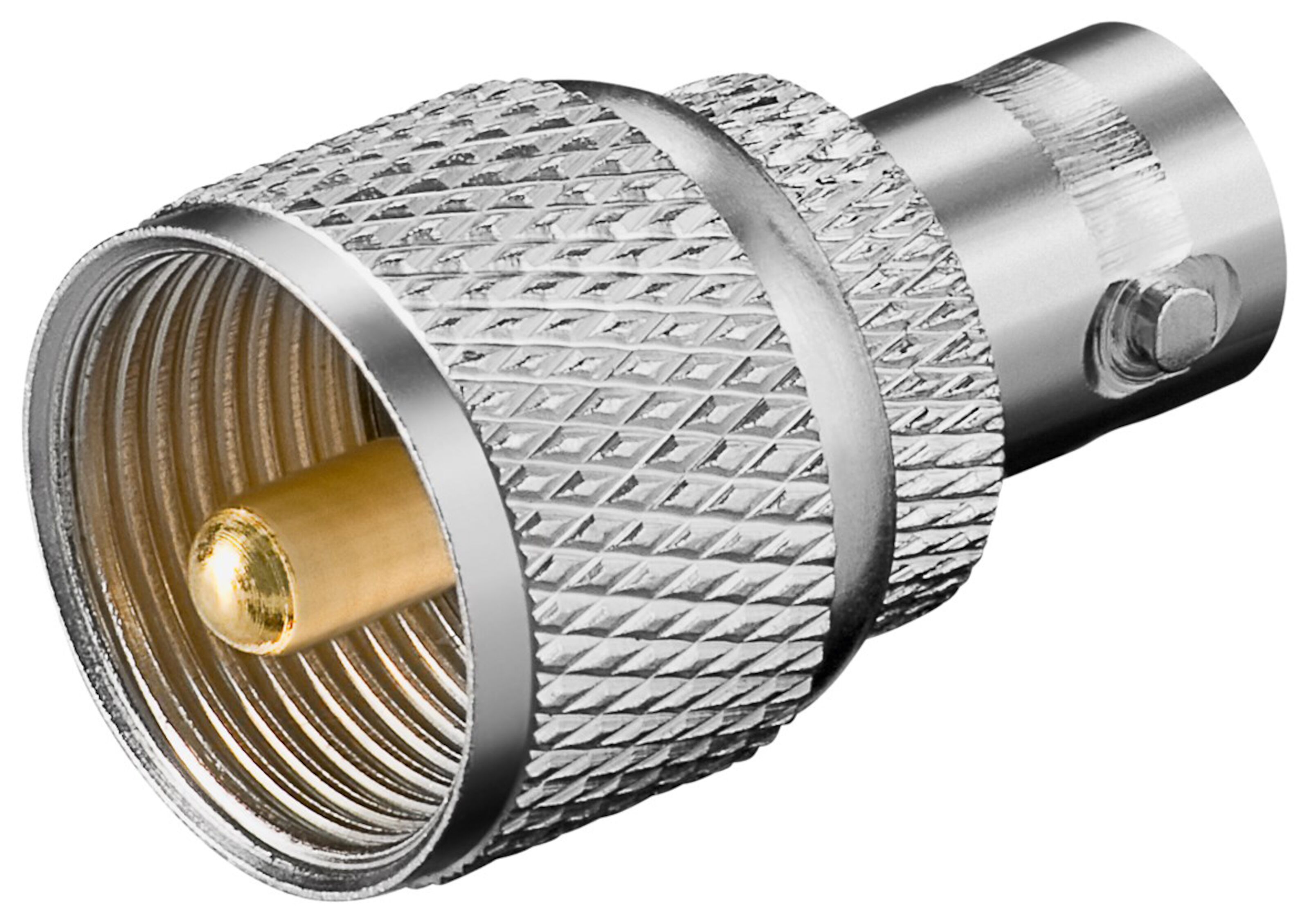 PL-hann til BNC-hunn