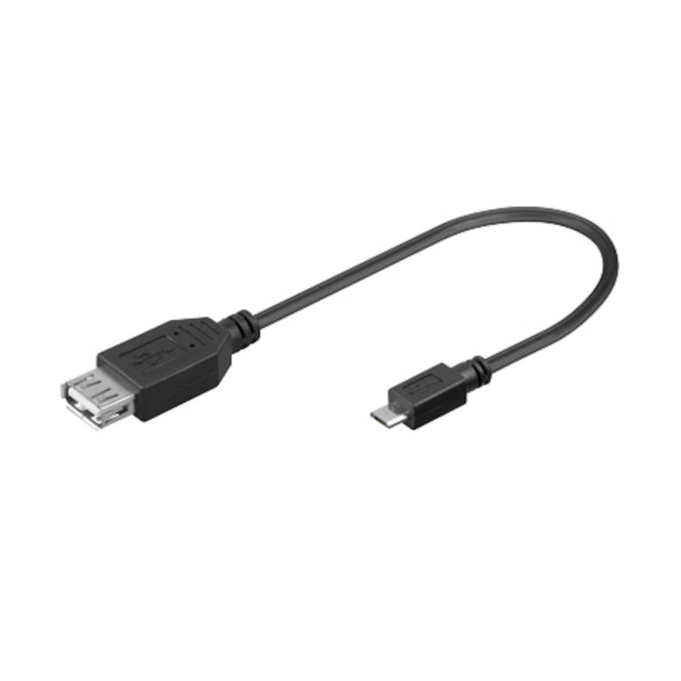 Luxorparts OTG-adapter med kabel 0,2 m
