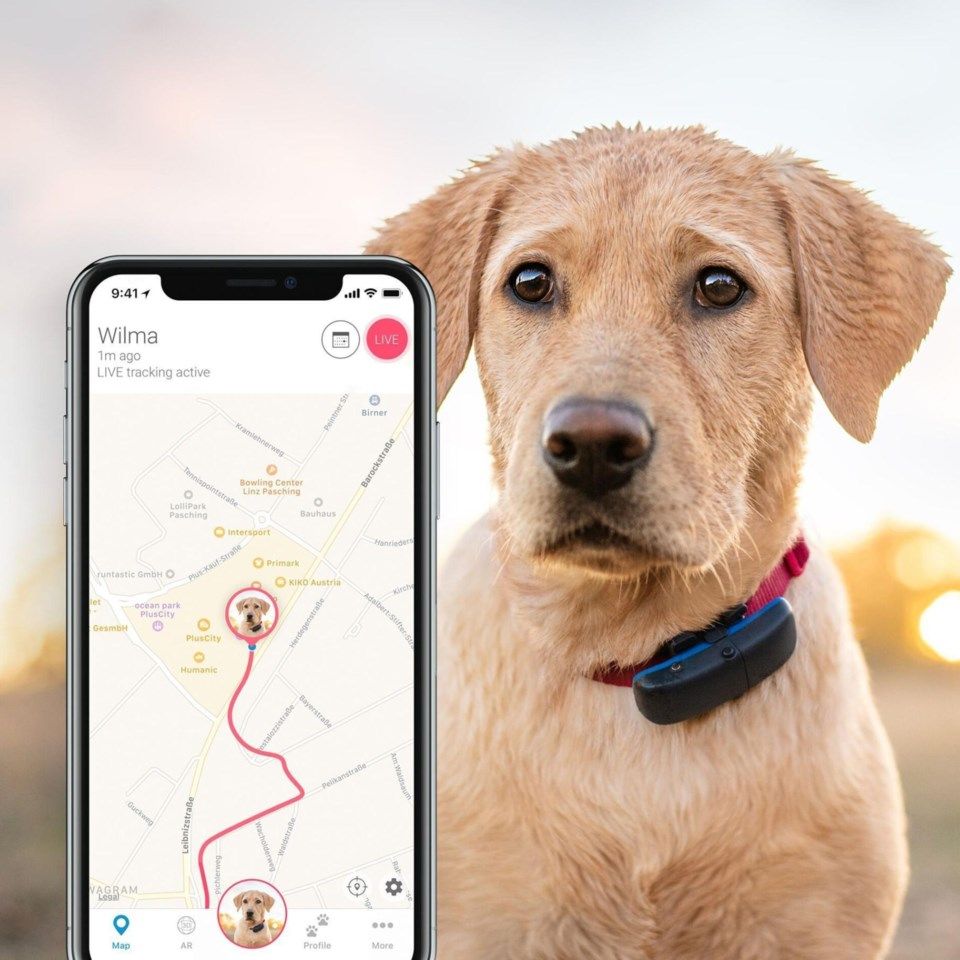Tractive GPS-sporingsenhet for hund