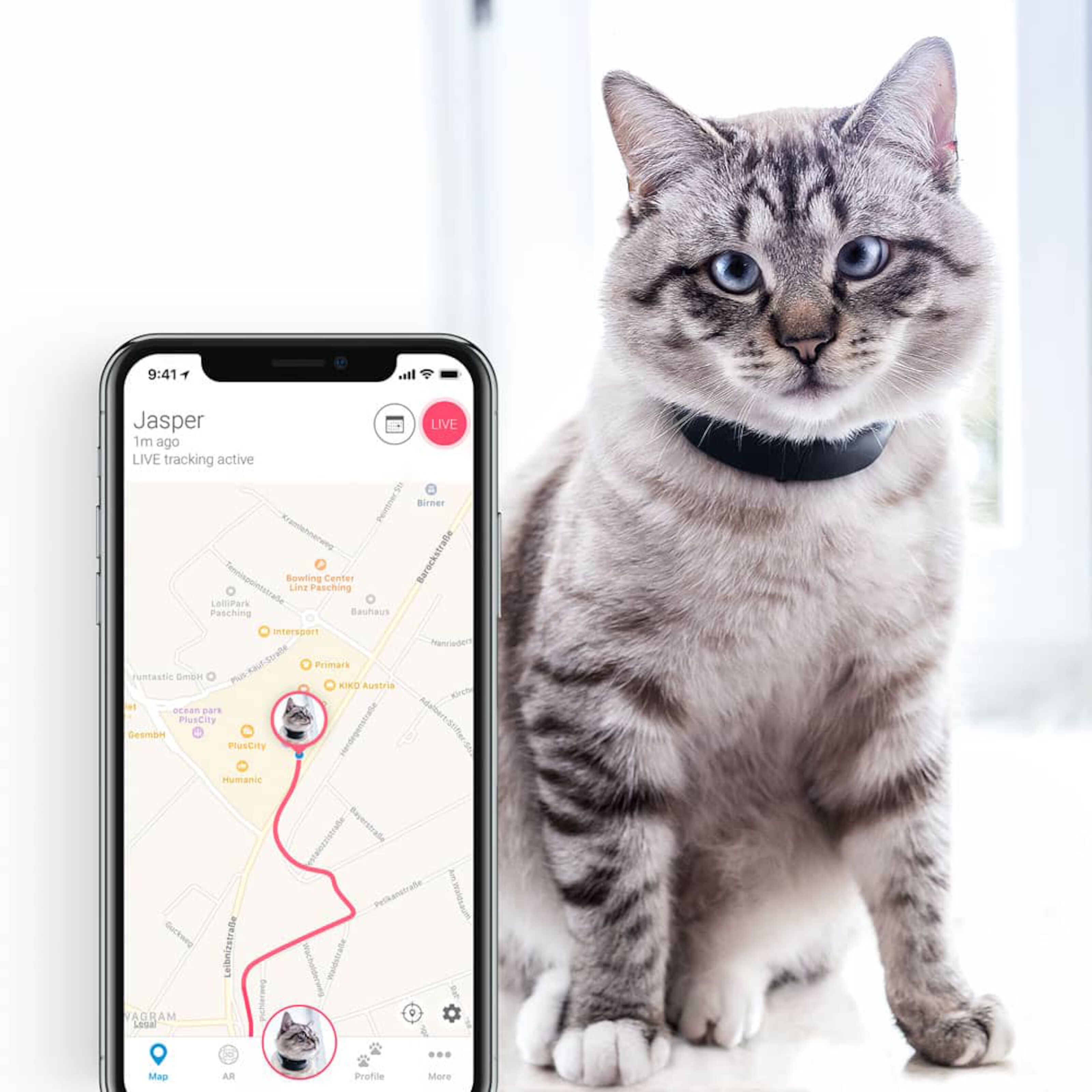 Tractive Katt GPStracker för husdjur Husdjurstillbehör