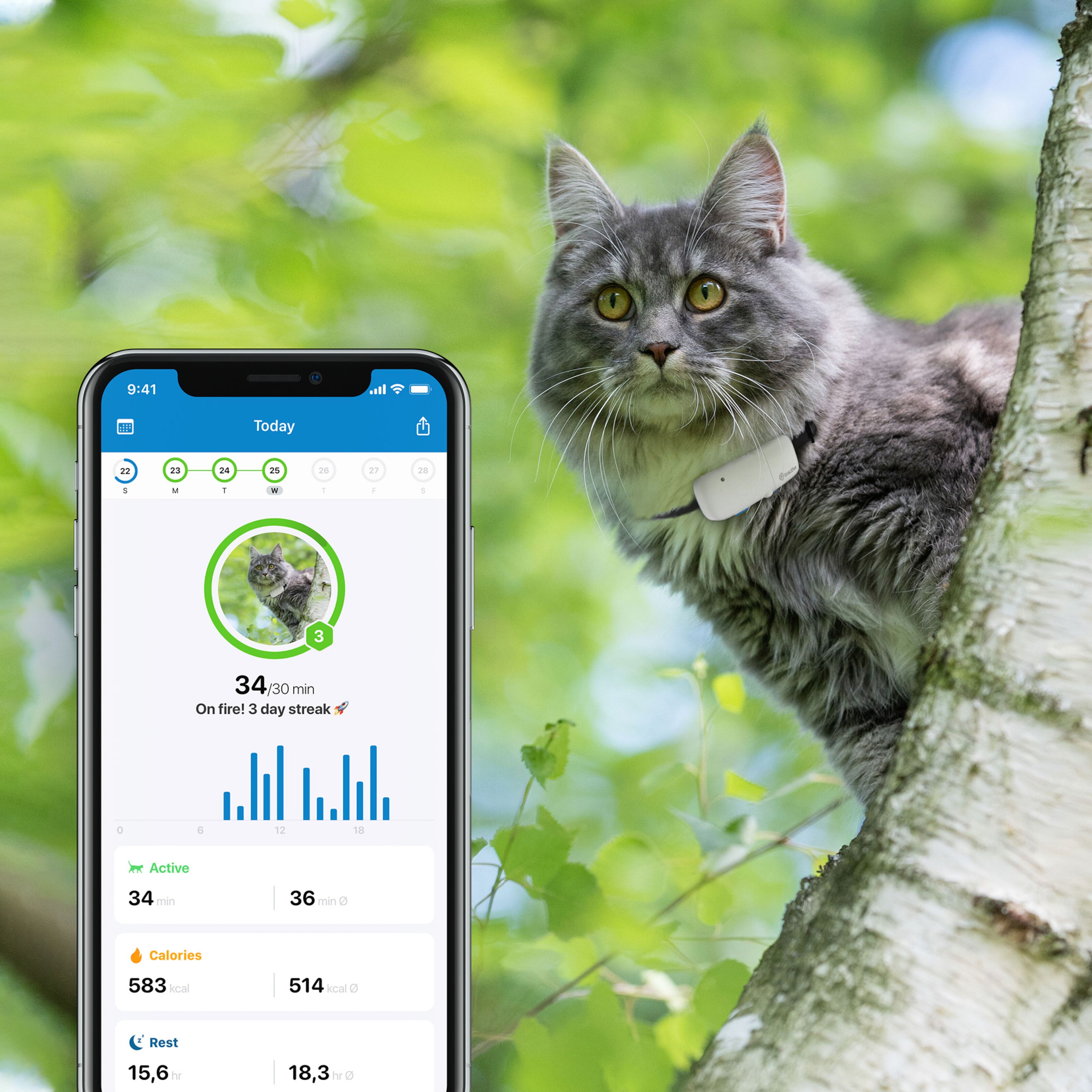 Tractive IKATI GPS-tracker för katt