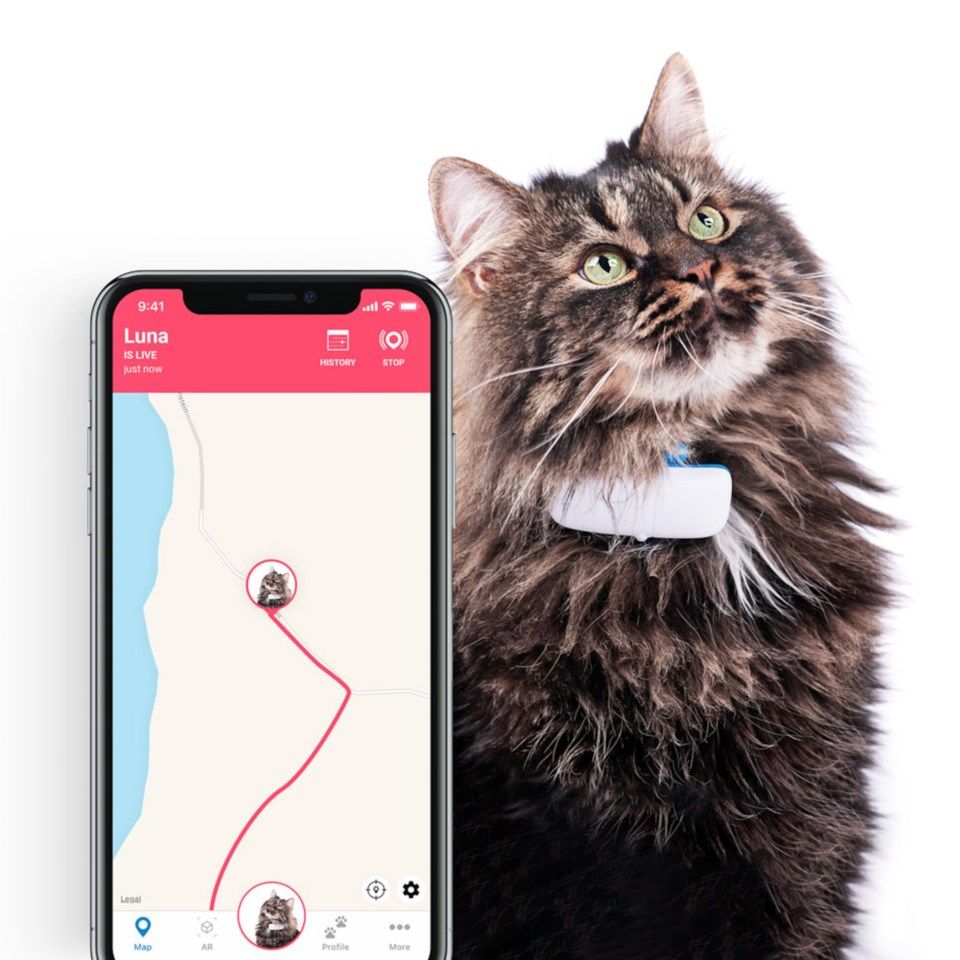 Tractive GPS-sporingsenhet med halsbånd for katt