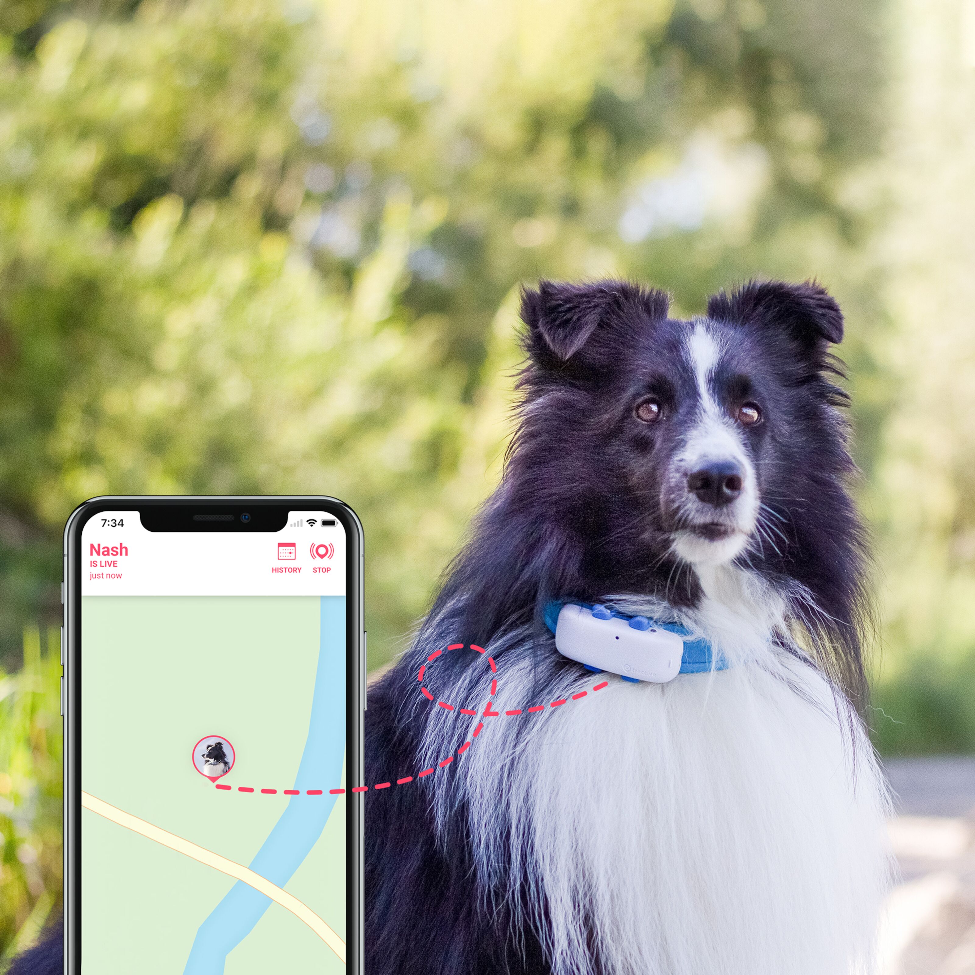 Tractive GPS Dog 4 GPStracker för hund Husdjurstillbehör