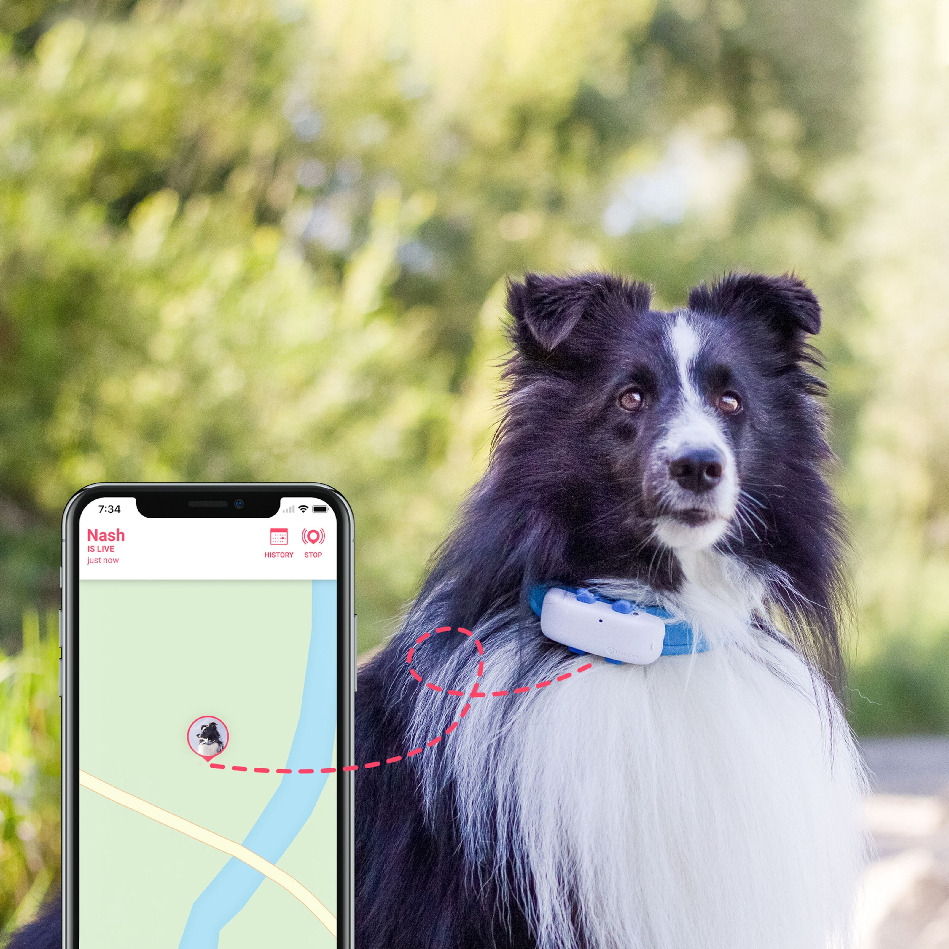 Tractive Tracker Cover Camouflage Für GPS Dog 4 