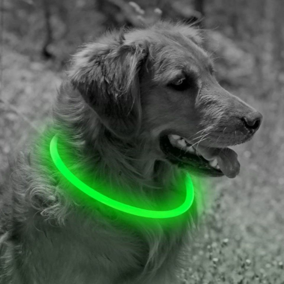 Luxorparts LED-hundehalsbånd