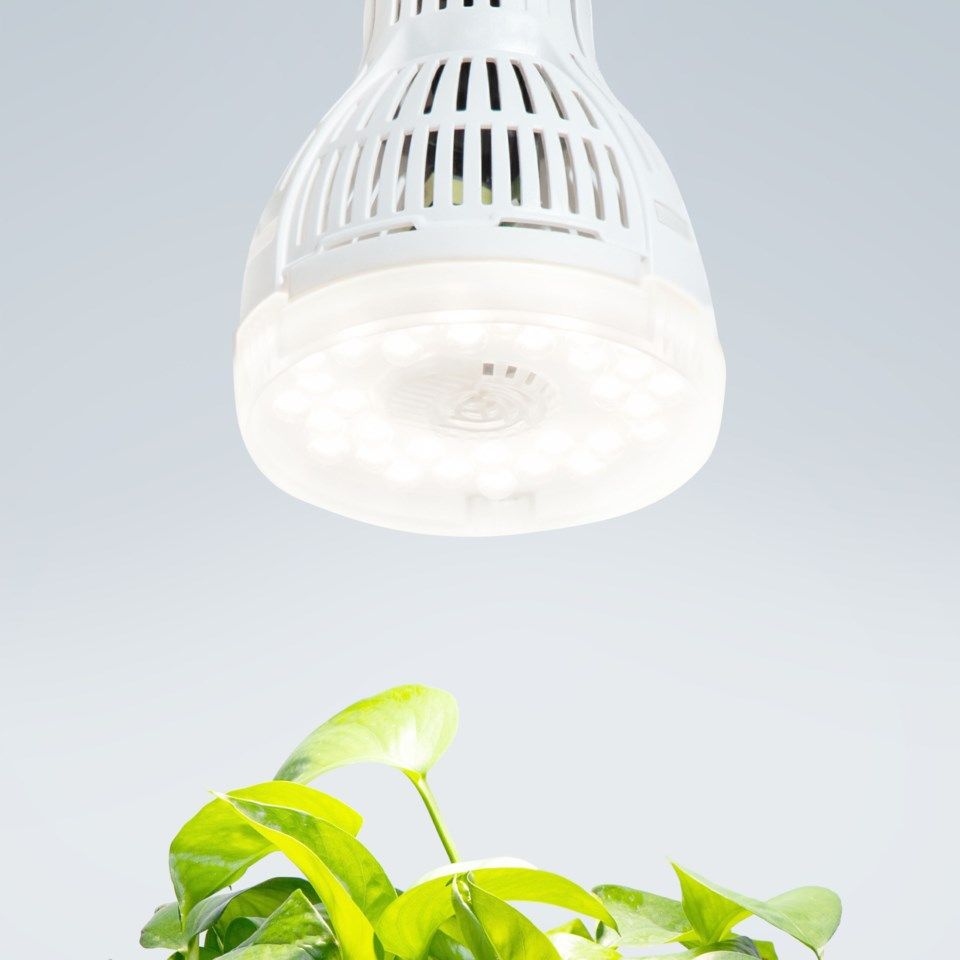 Luxorparts LED-växtlampa S E27 15 W