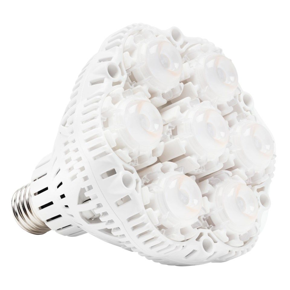 Luxorparts LED-växtlampa L E27 36 W