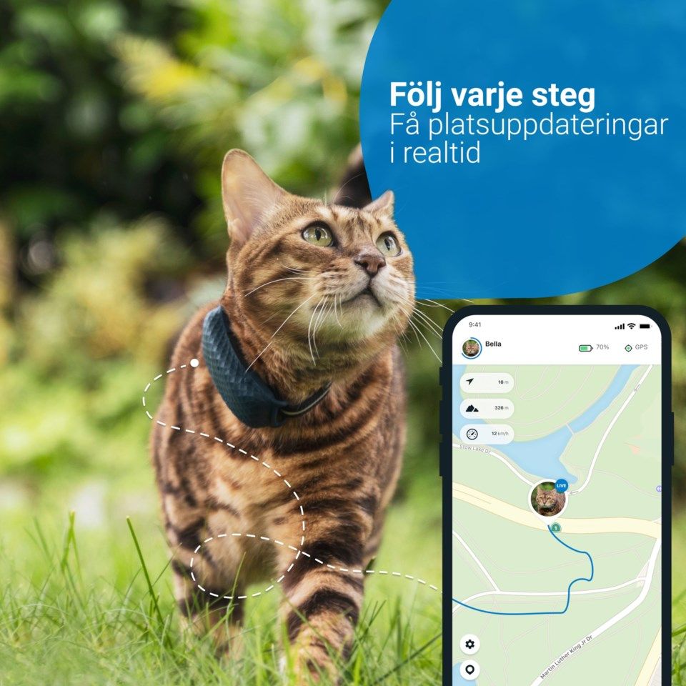 Tractive GPS-tracker 4 för katt