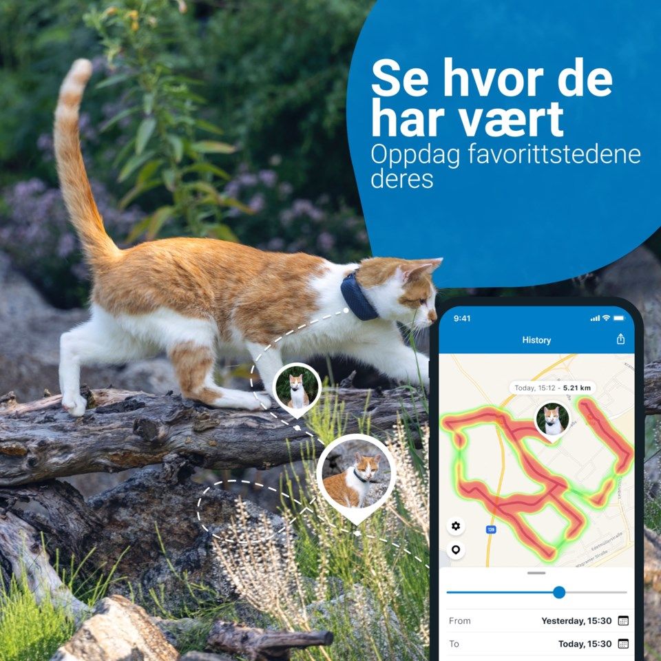 Tractive GPS-tracker 4 for katter