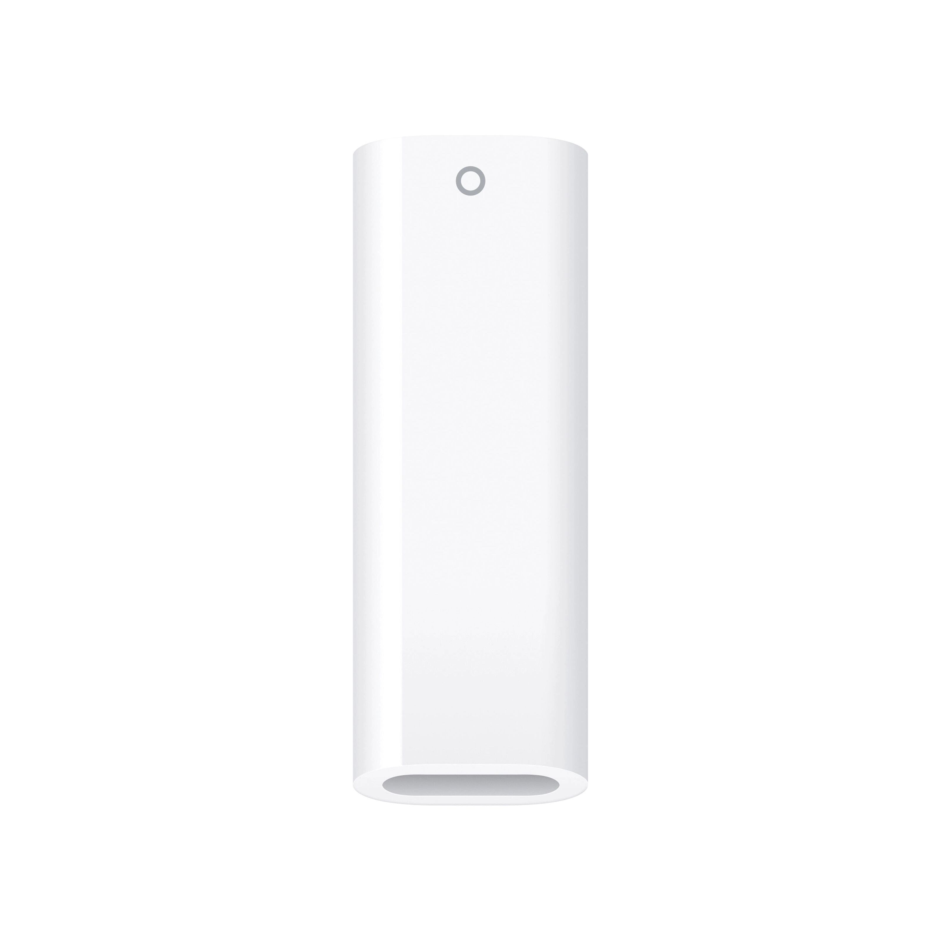 Apple USBC till Apple Pencil Adapter Lightning