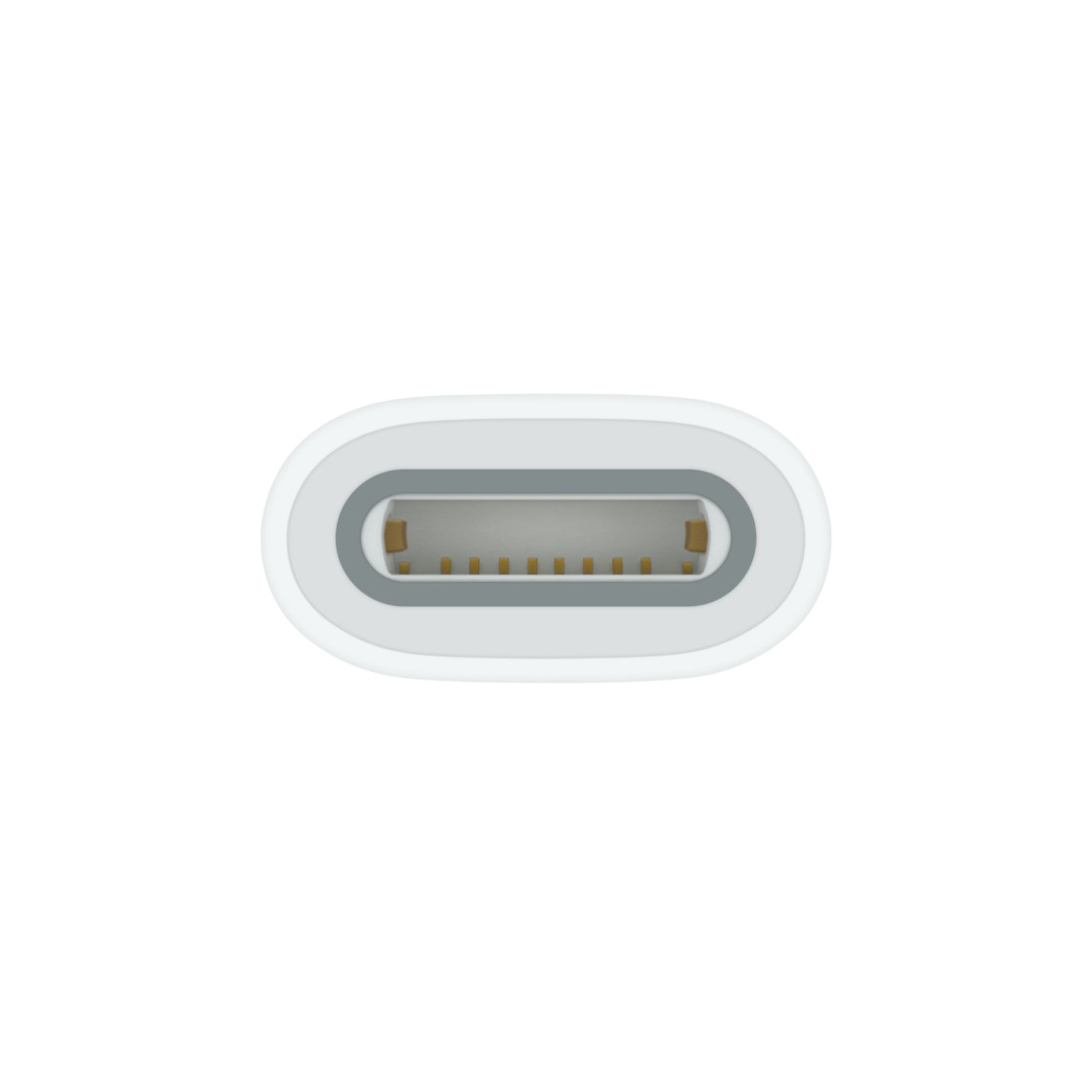 Apple USBC til Apple Pencil Adapter Lightning