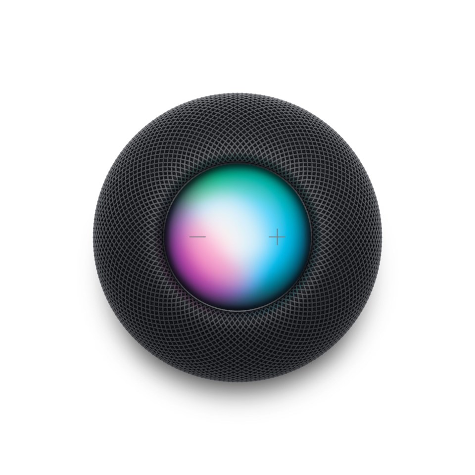 Apple HomePod mini Rymdgrå