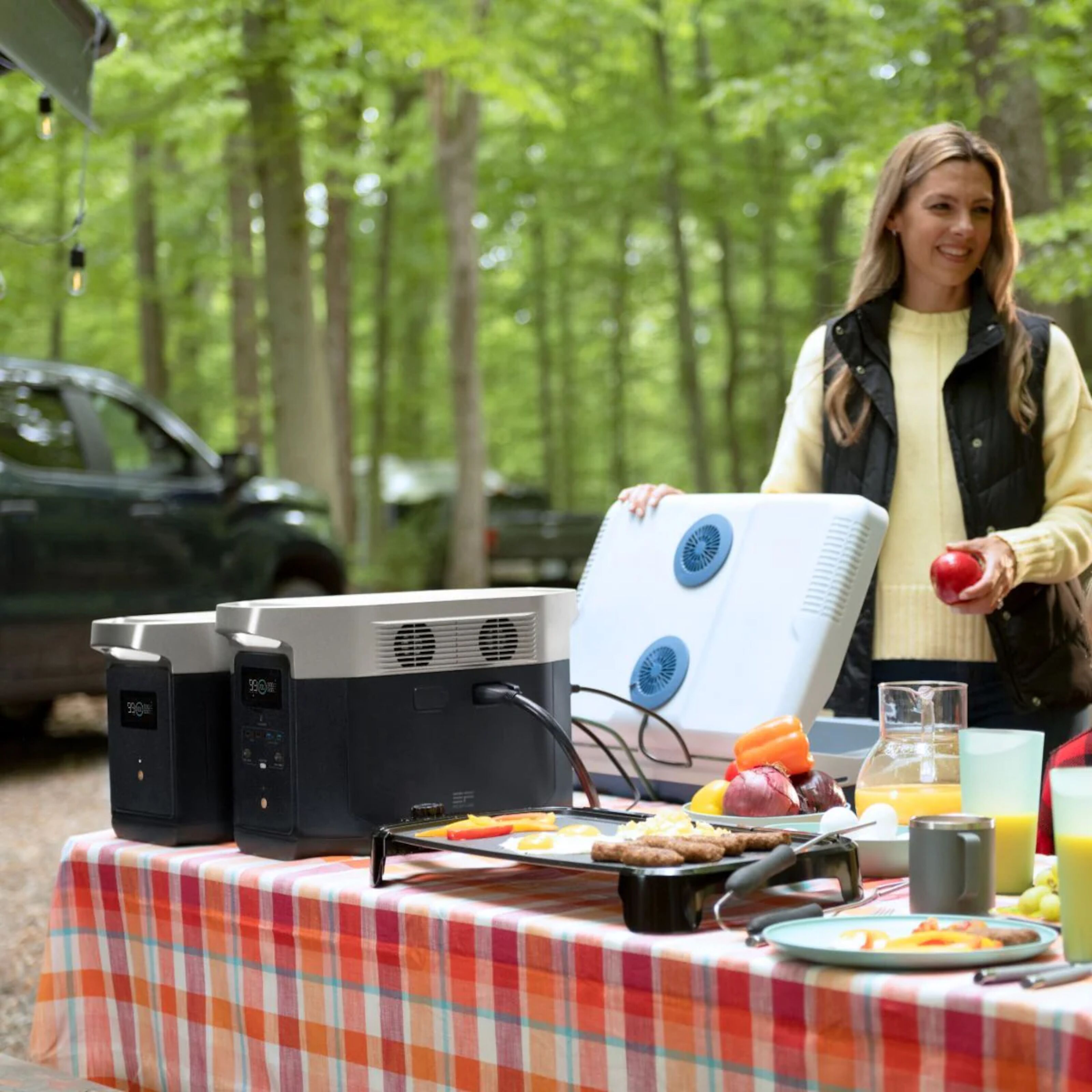 EcoFlow Delta Max Portabel kraftstation 1612 Wh Powerstations