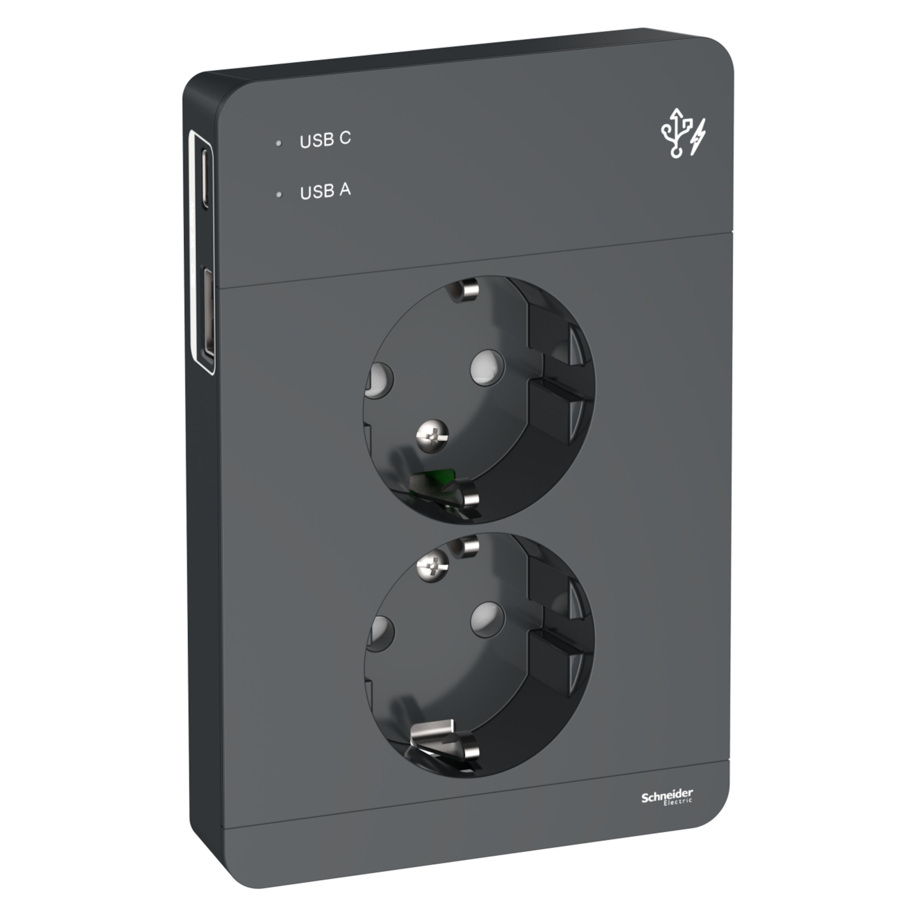 Schneider Electric Exxact Jordet vegguttak med USB-porter Svart