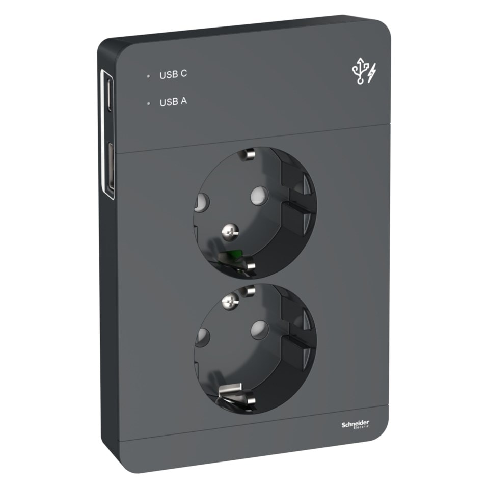 Schneider Electric Exxact Jordat vägguttag med USB-portar Svart