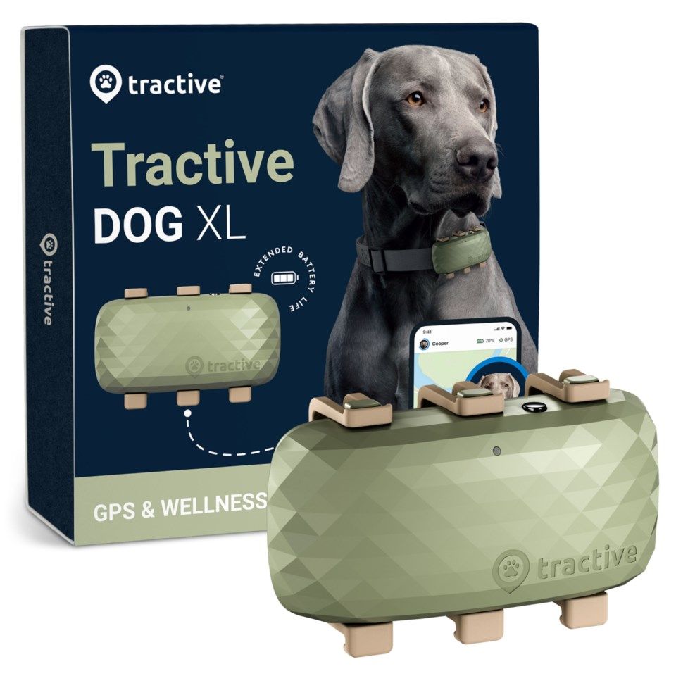Tractive DOG XL GPS-sporingsbrikke for hund