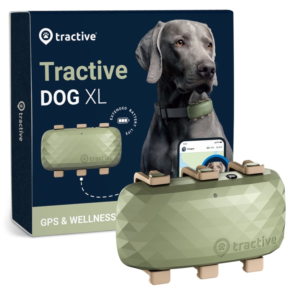 Tractive DOG XL GPS sporingsbrikke For Hund GPS tracker Kjell tractive-dog-xl-gps-sporingsbrikke-for-hund-gps-tracker-kjell