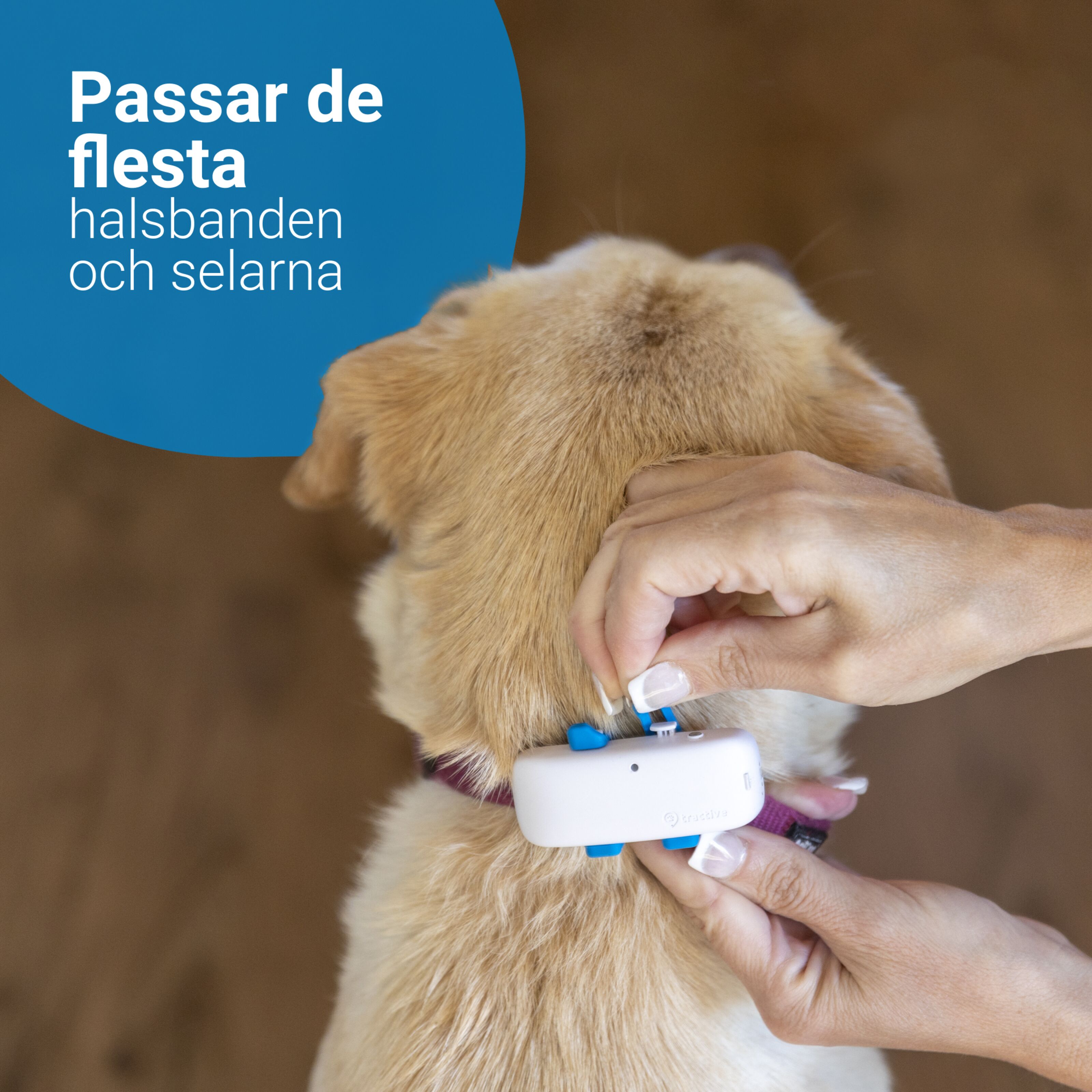 Tractive GPS DOG 4 HundGPS och Aktivitetsspårning GPStracker