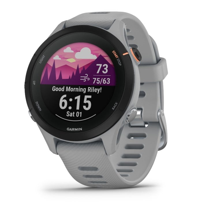Forerunner 255S Basic Powder Grey 41mm