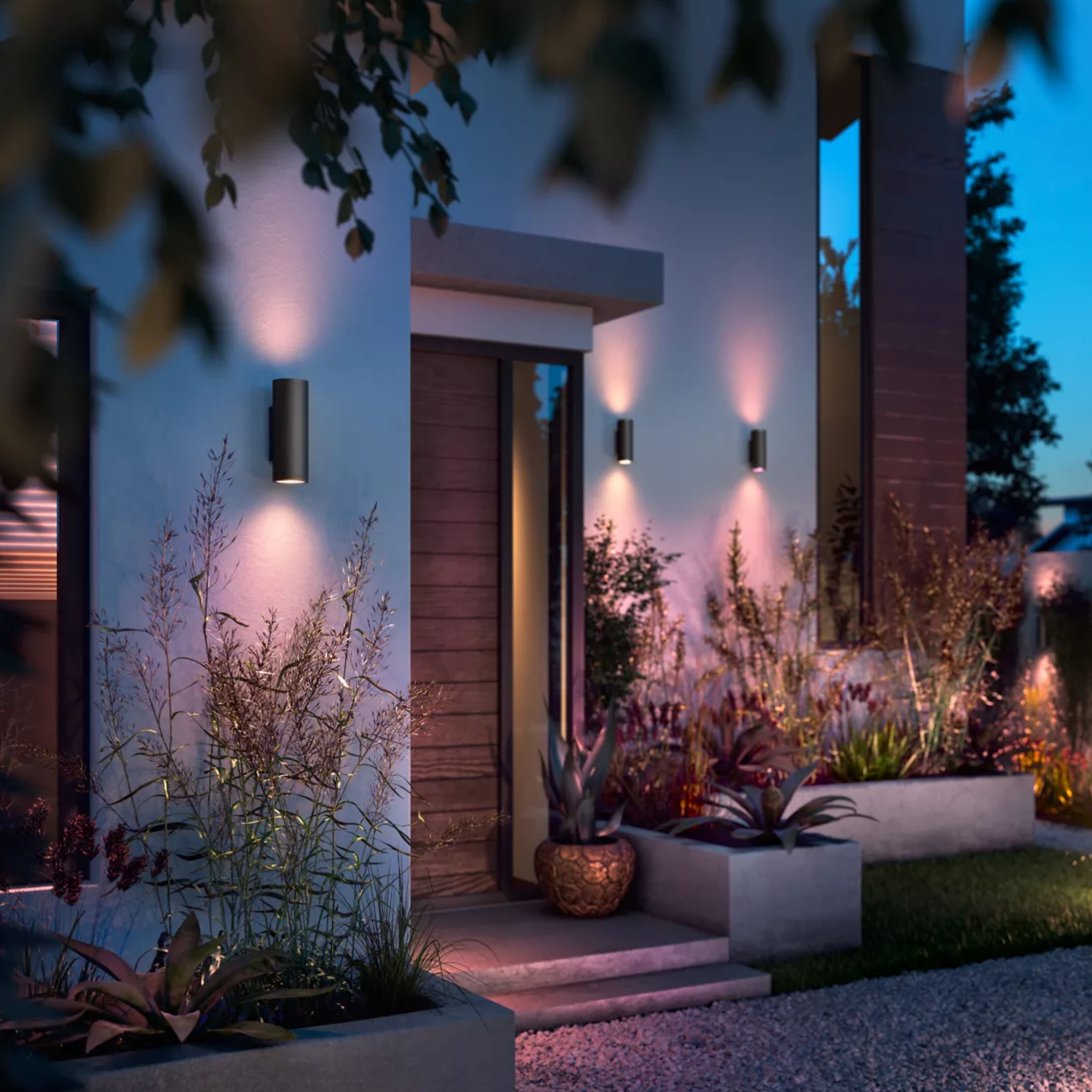 Architectural outdoor lighting on a contemporary home, with elegant wall lights and illuminated planting